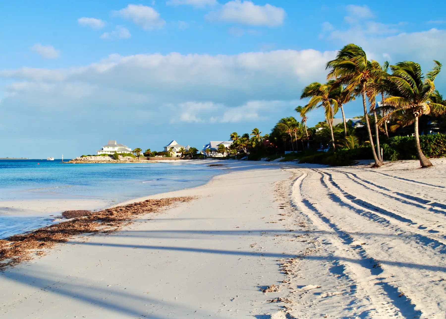 green-palm-tree-on-white-sand-beach-during-daytime-1